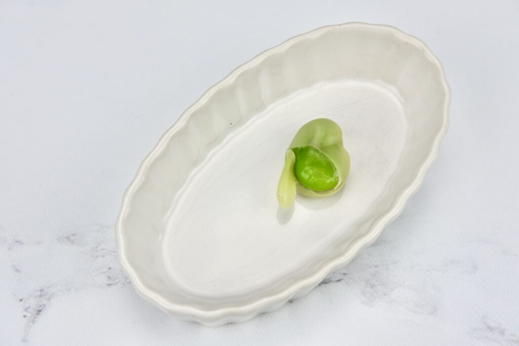 fava beans with lemon ricotta