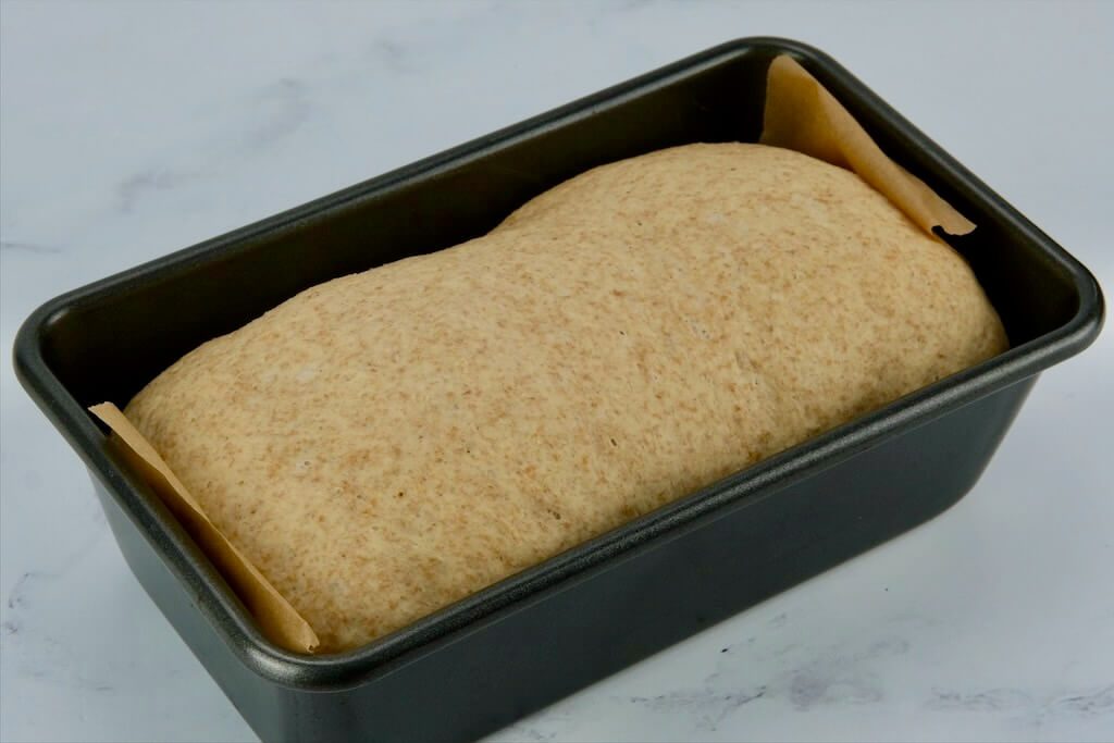 homemade whole wheat bread