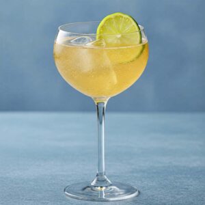 Ginger-Lime Spritzer