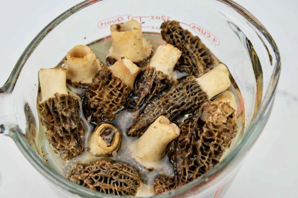 bowl of fresh morel mushrooms soaking in water