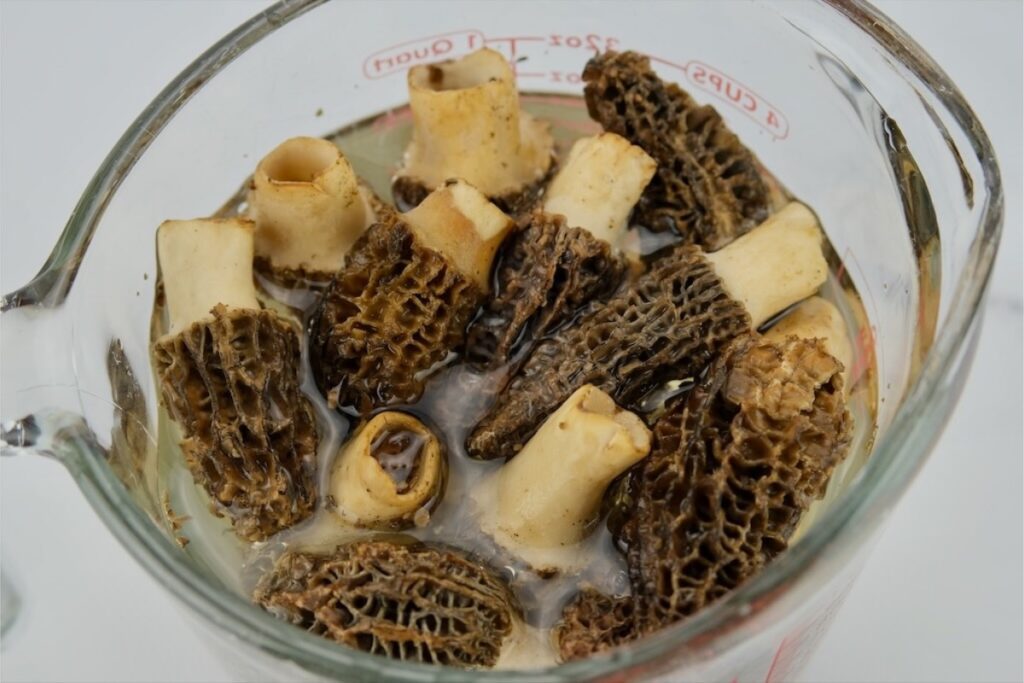 how to clean morel mushrooms