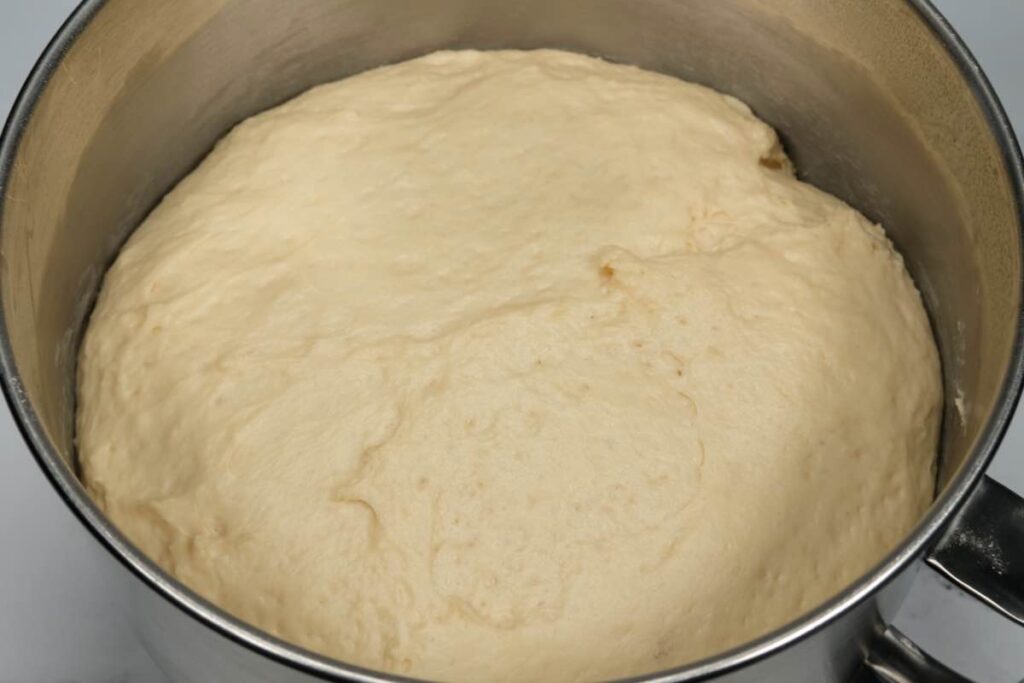 challah dough in a well-oil bowl