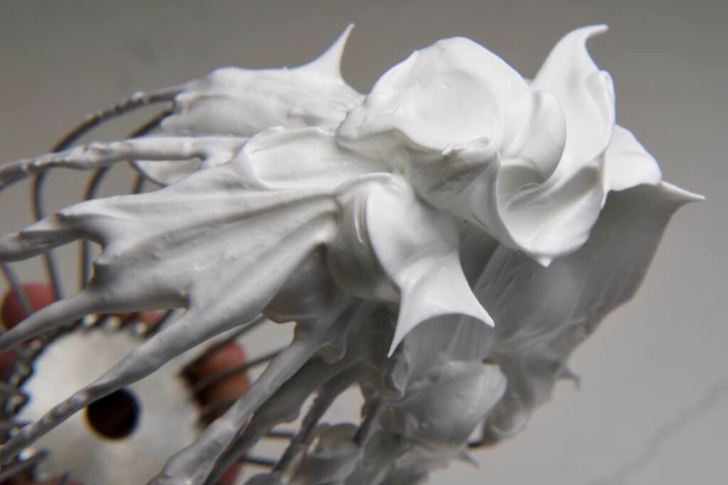 whipped egg whites for pavlova