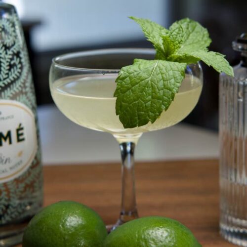 Southside Cocktail ingredients with gin, lime, simple syrup, and fresh mint