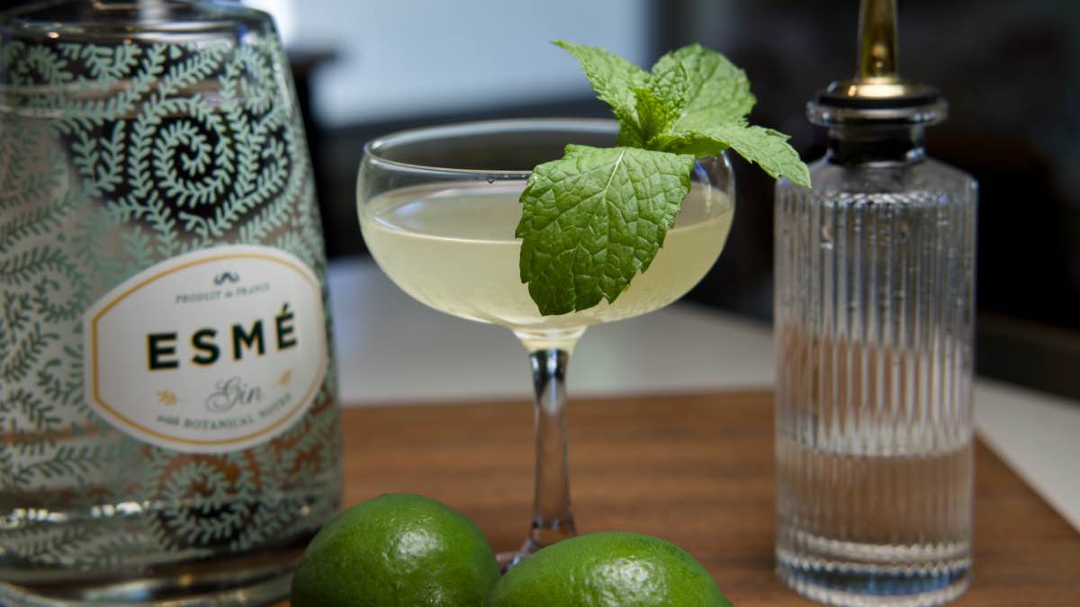 Southside Cocktail ingredients with gin, lime, simple syrup, and fresh mint